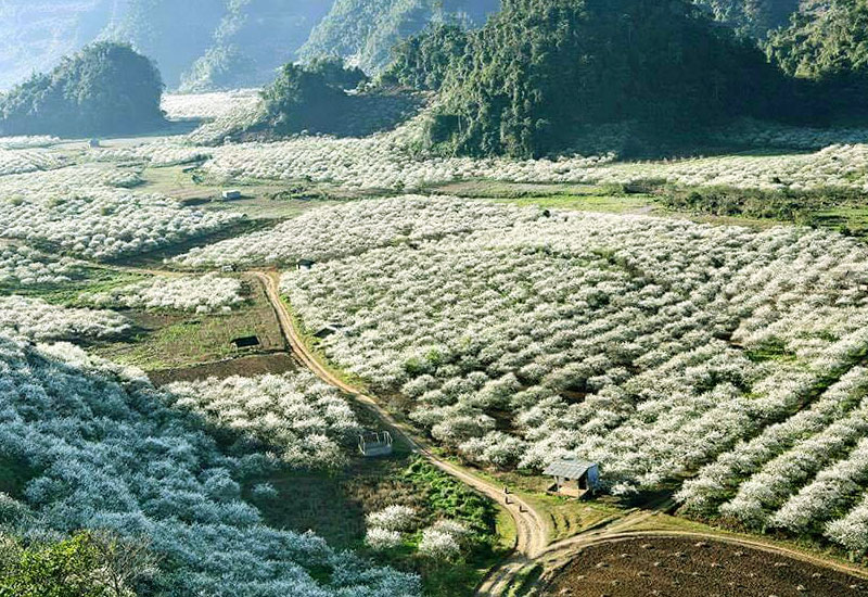 tour-du-lich-mai-chau-moc-chau-2-ngay-1-dem.jpg